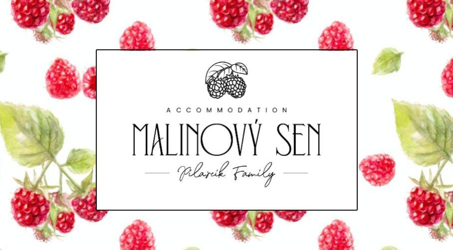 Bed and Breakfast Malinovy Sen Habovka Exterior foto
